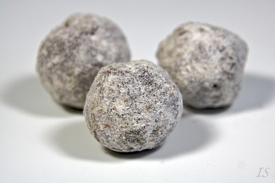 Lebkuchenkonfekt Rezept