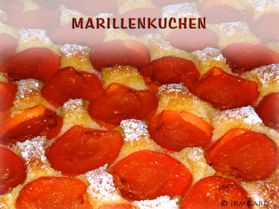 Rezept Marillenkuchen Marillenkuchen Rezept