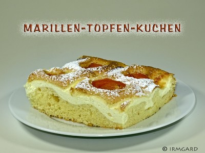 Rezept Marillen-Topfen-Kuchen Marillen-Topfen-Kuchen Rezept
