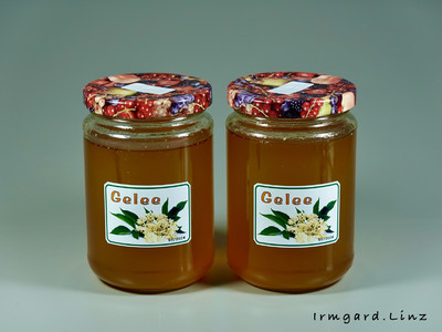 Rezept Holunderblütengelee Holunderblütengelee Rezept