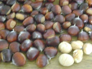 Rezept Kastanienreis für den Wintervorrat Kastanienreis für den Wintervorrat Rezept