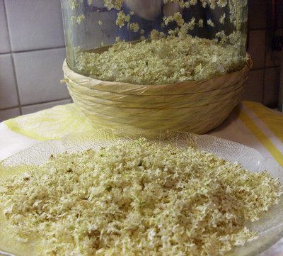 Rezept Holunderblüten - Likör Holunderblüten - Likör Rezept