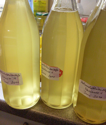 Rezept Holunderblüten - Sirup Holunderblüten - Sirup Rezept