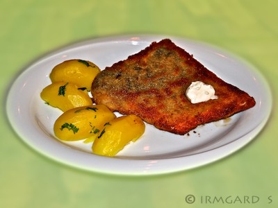 Rezept Gebackenes Karpfenfilet Gebackenes Karpfenfilet Rezept
