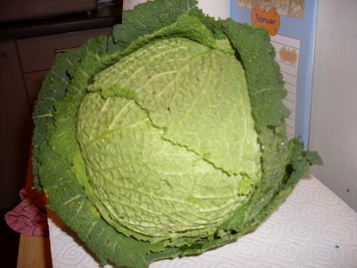 Rezept Kohltaschen mit Schafskäse Kohltaschen mit Schafskäse Rezept