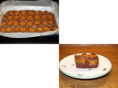 Marillen-Schoko-Kuchen Rezept