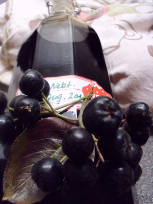 Rezept Aronia- Nektarinensaft Aronia- Nektarinensaft Rezept
