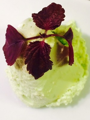 Rezept Bärlauch Mousse Bärlauch Mousse Rezept