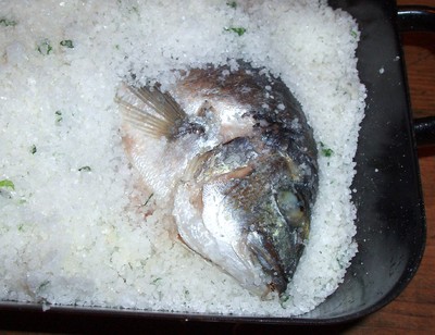 Rezept Goldbrasse in der Salzkruste Goldbrasse in der Salzkruste Rezept
