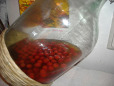 Rezept Hagebutten - Likör Hagebutten - Likör Rezept