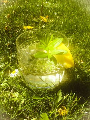 Maibowle (Waldmeister) Rezept