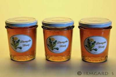 Rezept Löwenzahnsirup Löwenzahnsirup Rezept