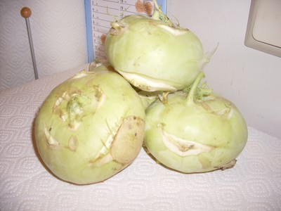 Rezept Kohlrabisalat Kohlrabisalat Rezept