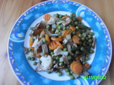 Rezept Tofu mit Gemüse Tofu mit Gemüse Rezept