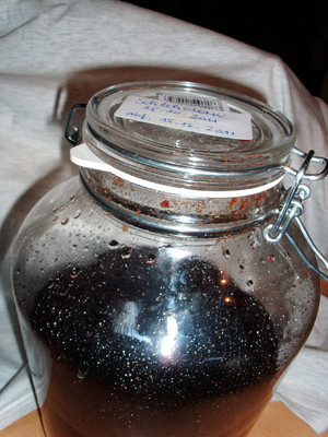 Rezept Schlehenlikör Schlehenlikör Rezept