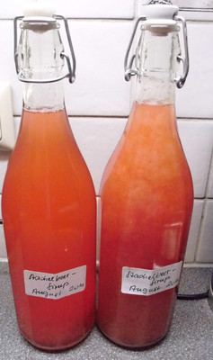 Rezept Stachelbeersaft Stachelbeersaft Rezept